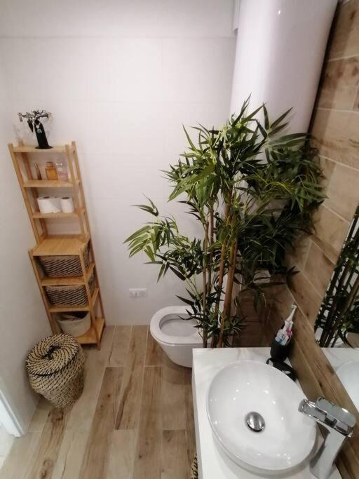 Superbe Studio Ethnique Apartman Hyères Kültér fotó