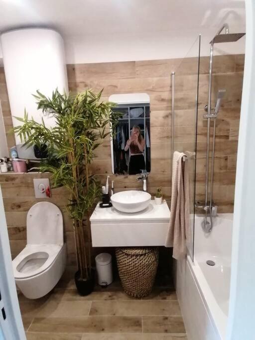 Superbe Studio Ethnique Apartman Hyères Kültér fotó